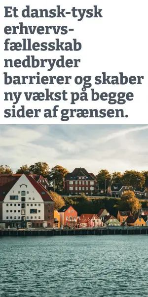 Annonce i højformat: Et dansk-tysk erhvervsfællesskab nedbryder barrierer og skaber ny vækst